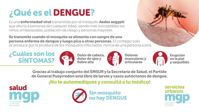 Que Es El Dengue En General
